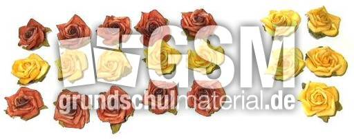 Blumen15+5.jpg